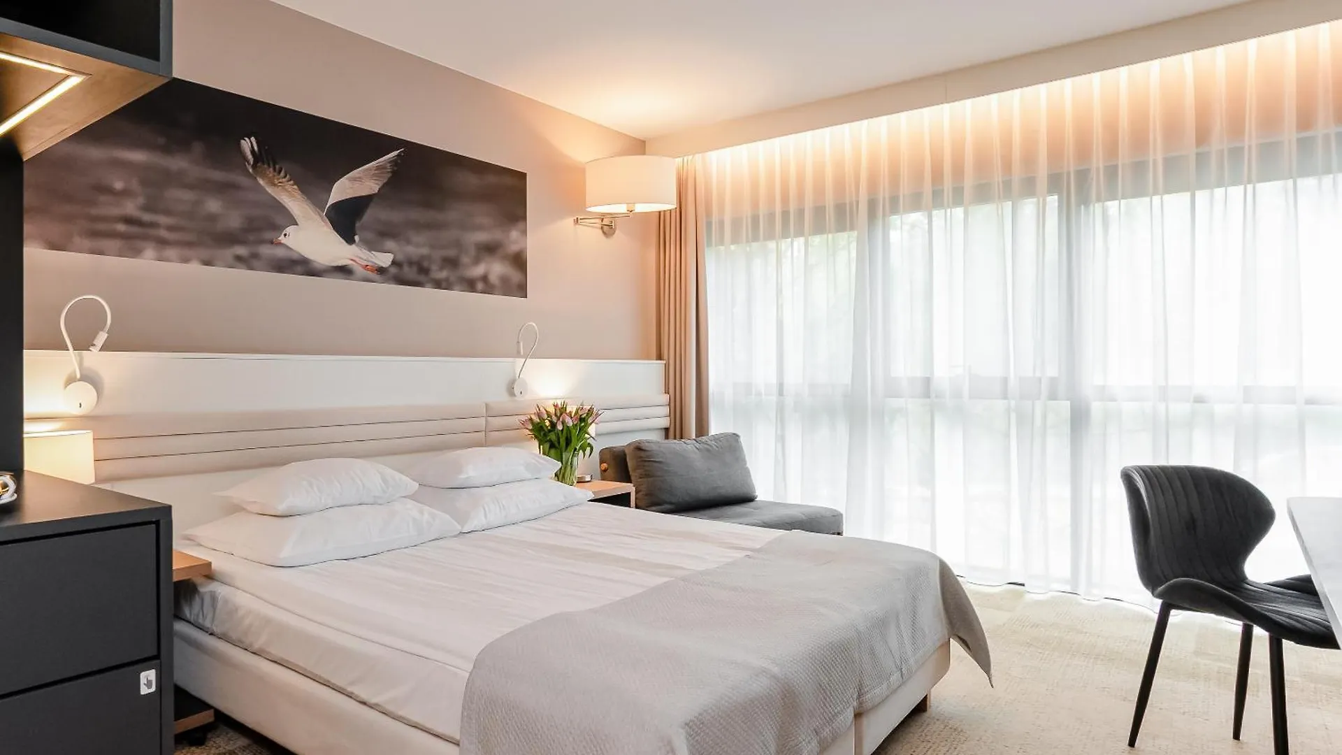 Hotel Platan contacts